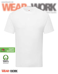 Pure Cotton T